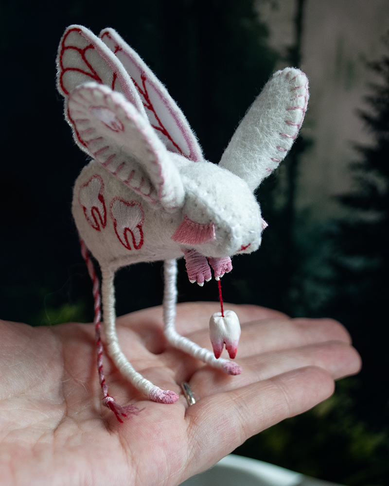 tooth fairy jerboa b