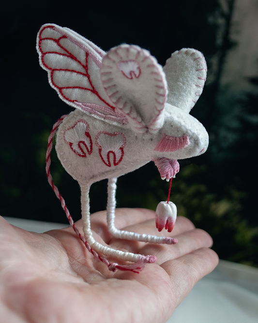 tooth fairy jerboa b